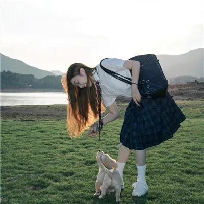 诡岛谜花